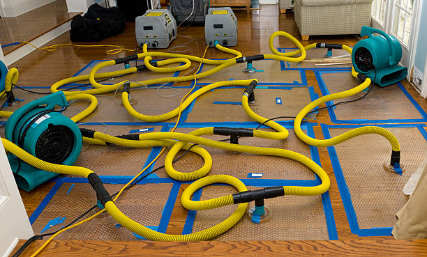 Professional Crawl Space Water Removal technician working in Foxworth, MS